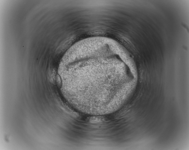 X0000099530077200806131136