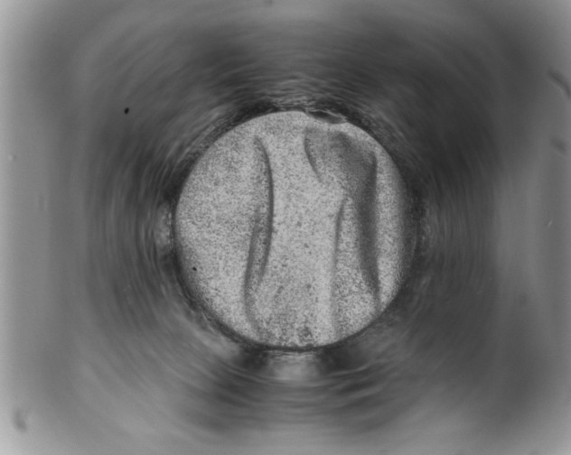 X0000099530081200806131136