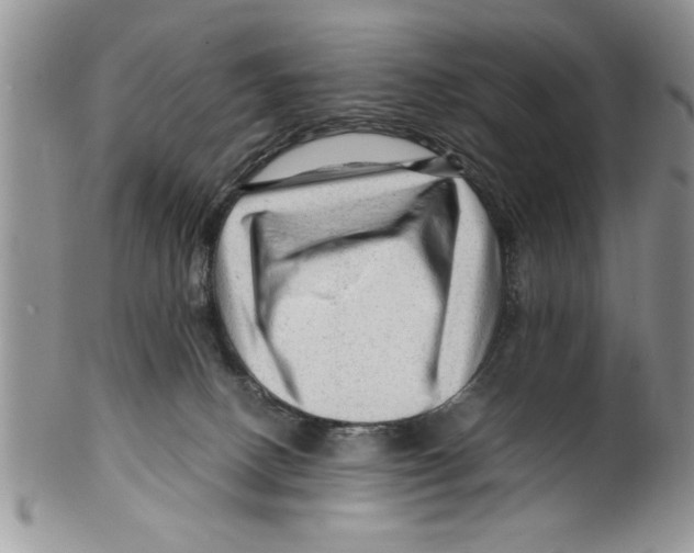 X0000099530082200806131136