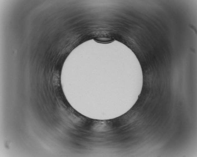 X0000099530083200806131136