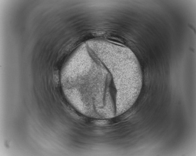 X0000099530085200806131136