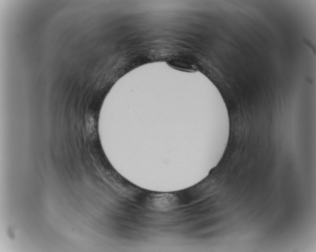 X0000099530087200806131136