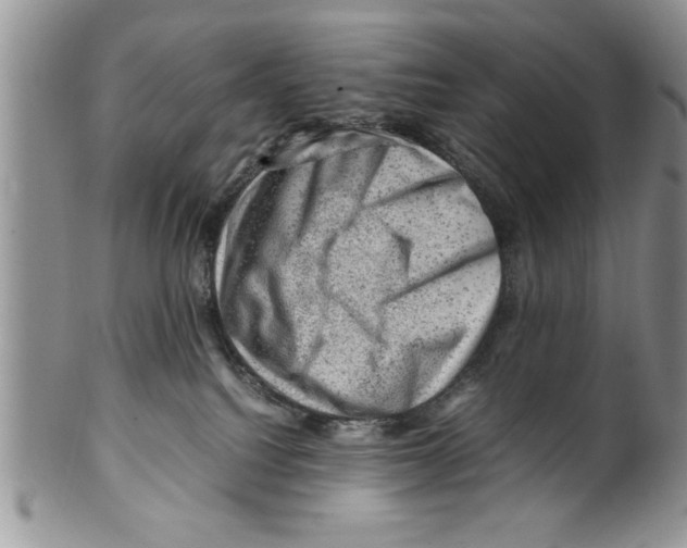 X0000099530088200806131136