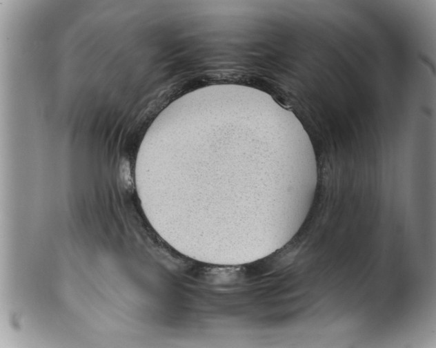 X0000099530089200806131136