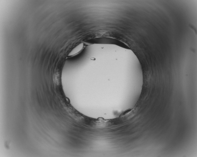 X0000099530090200806131136