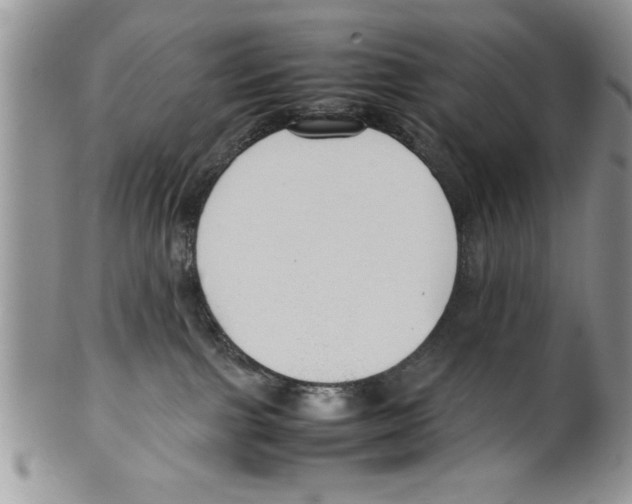 X0000099530091200806131137