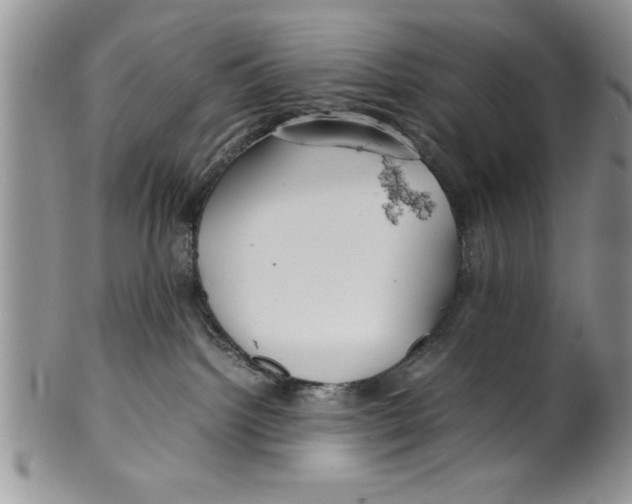 X0000099530092200806131137