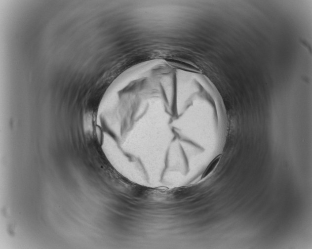 X0000099530094200806131137