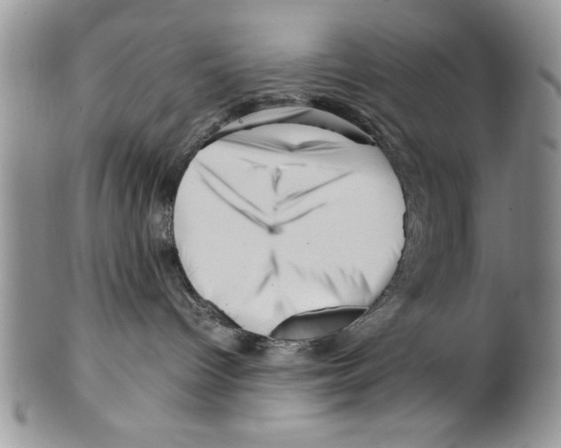 X0000099530096200806131137