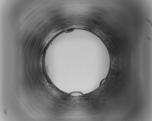 X0000099530098200806131136