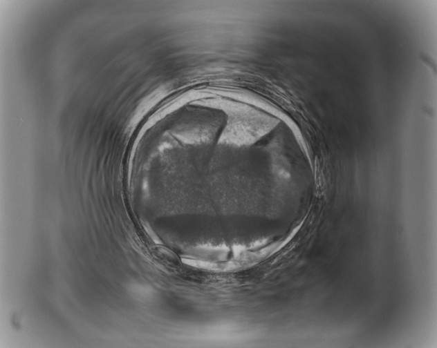 X0000099530099200806131136