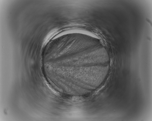 X0000099530101200806131136