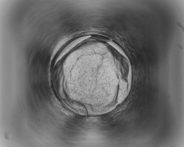 X0000099530102200806131136