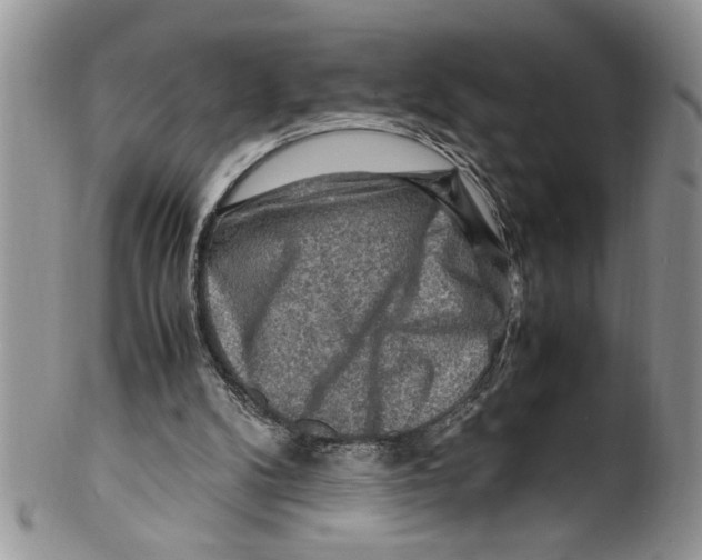 X0000099530104200806131136