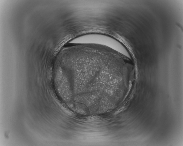 X0000099530105200806131136