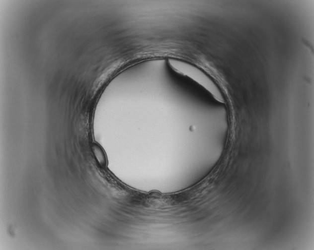 X0000099530107200806131136