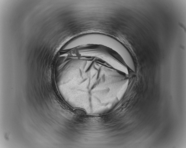 X0000099530108200806131136