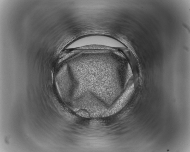 X0000099530109200806131136