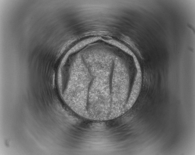 X0000099530110200806131136