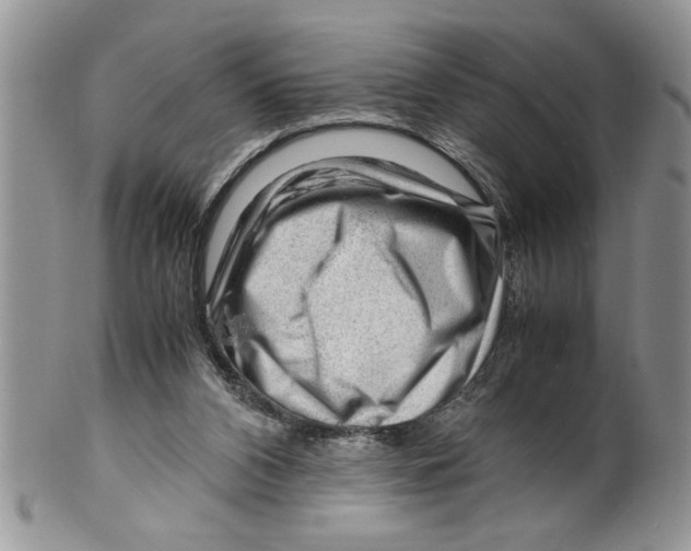 X0000099530112200806131136