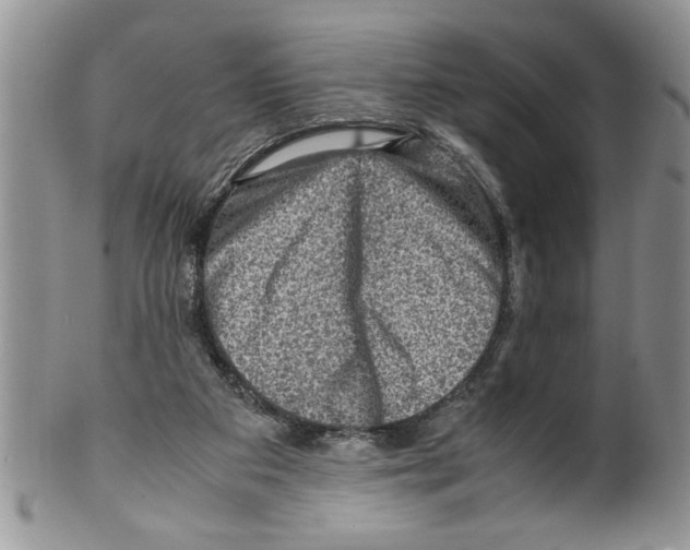 X0000099530113200806131136