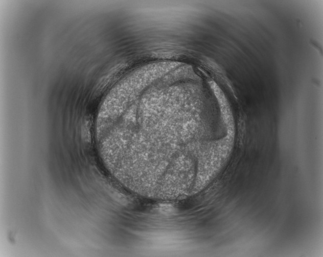 X0000099530114200806131136