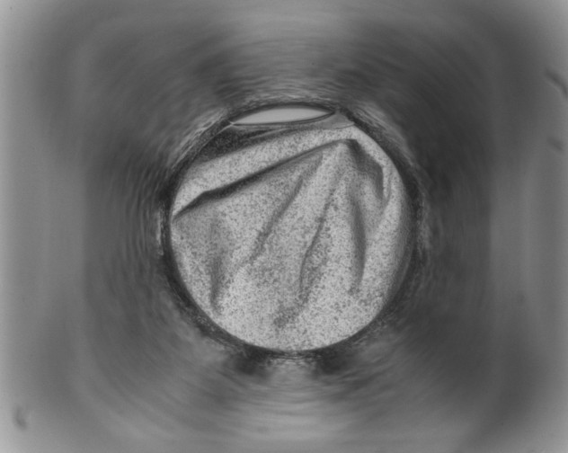 X0000099530115200806131136