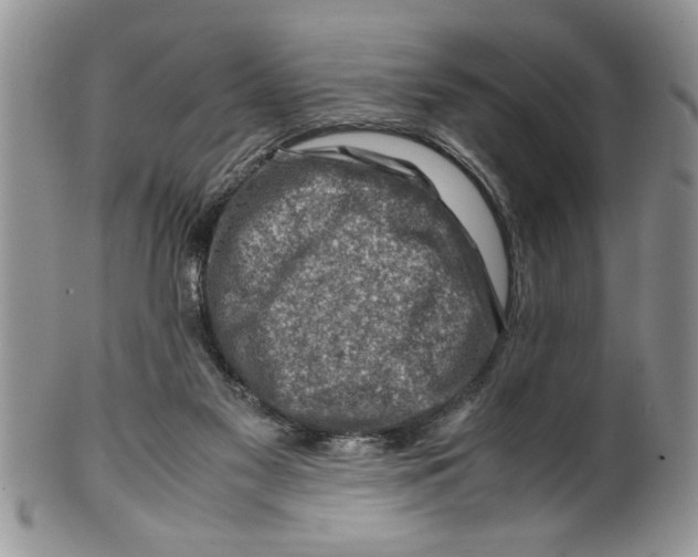 X0000099530117200806131136