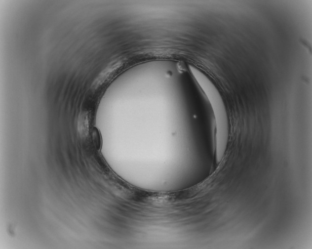 X0000099530120200806131135