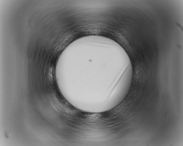 X0000099530122200806131135