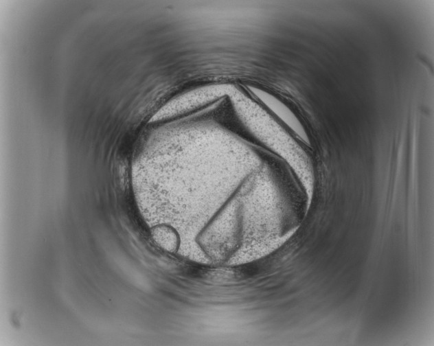 X0000099530123200806131135