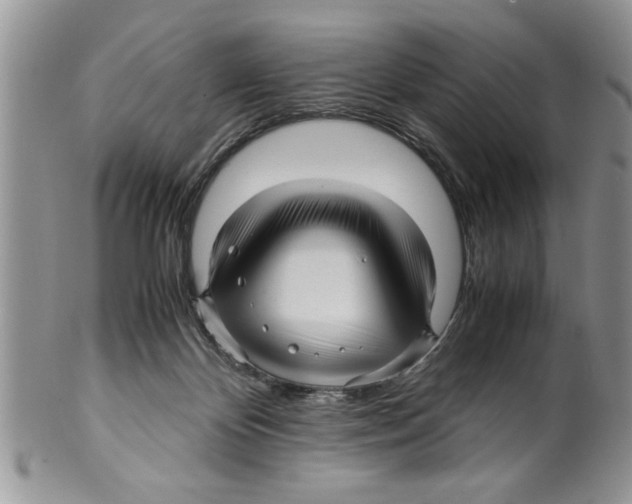 X0000099530124200806131135