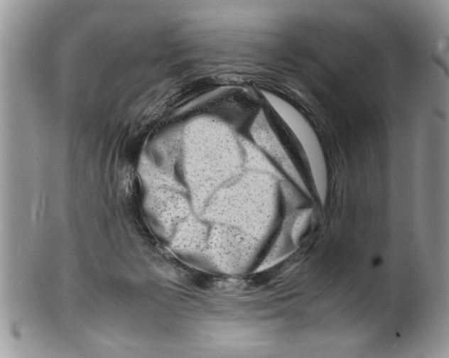 X0000099530125200806131135