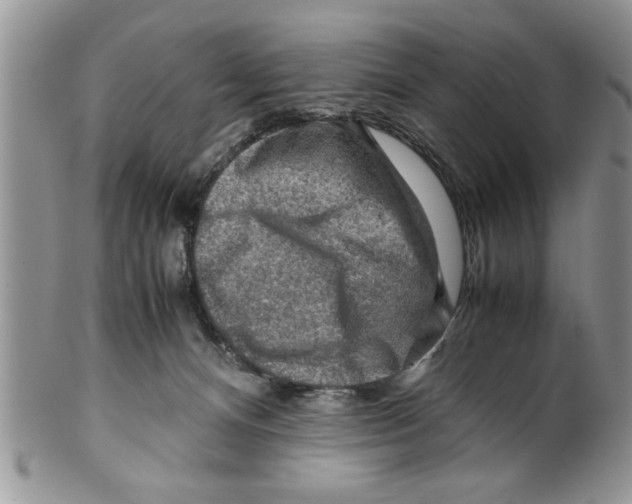 X0000099530128200806131135