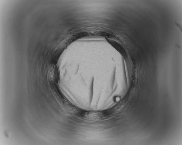 X0000099530129200806131135