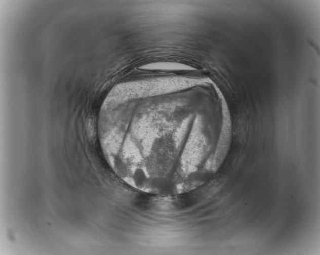 X0000099530131200806131135