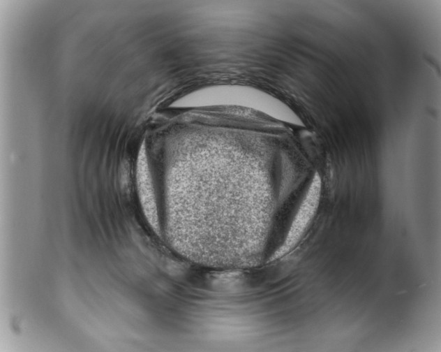 X0000099530132200806131135