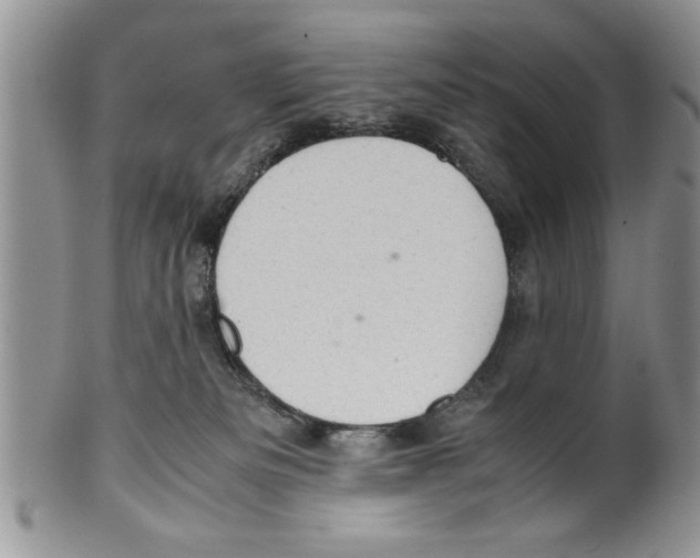 X0000099530133200806131135