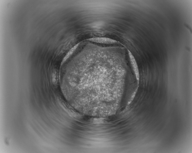 X0000099530134200806131135