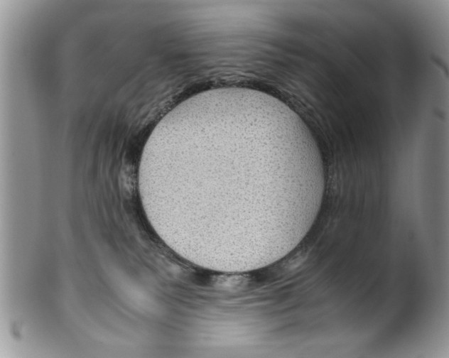 X0000099530135200806131135