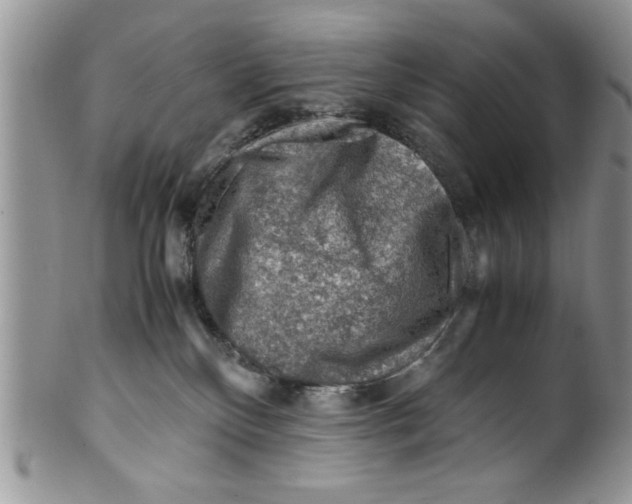 X0000099530136200806131135