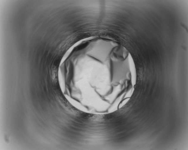 X0000099530138200806131135