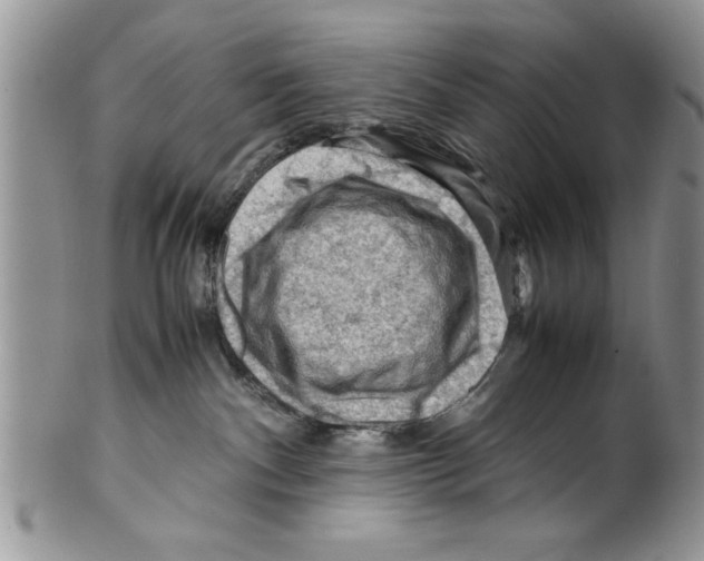 X0000099530140200806131135