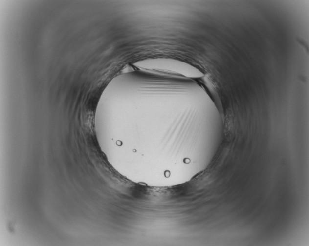 X0000099530141200806131135