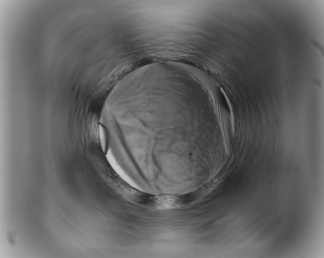 X0000099530143200806131135