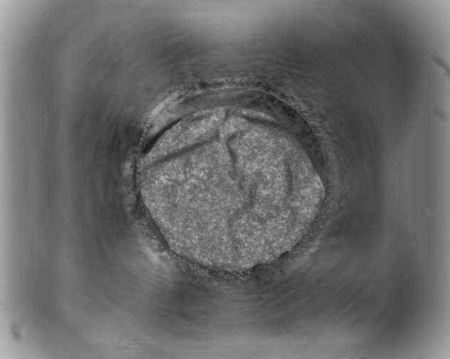 X0000099530144200806131135