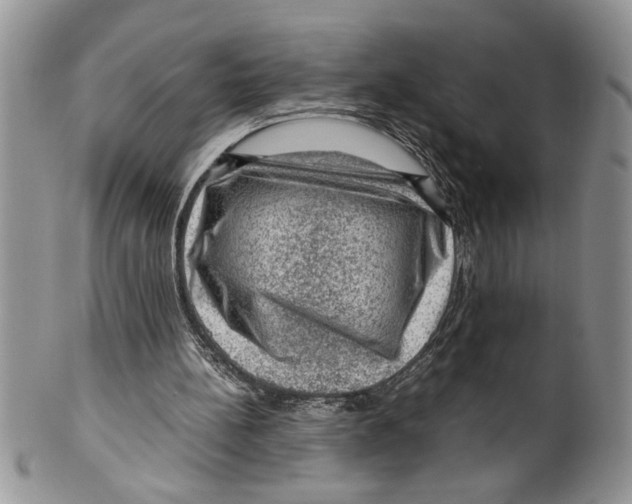 X0000099530148200806131134