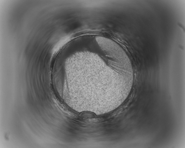 X0000099530149200806131134