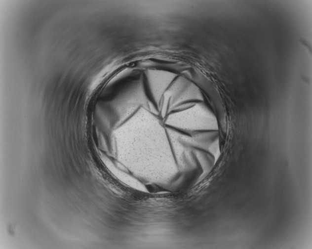 X0000099530150200806131135