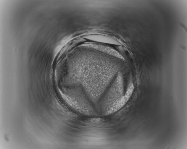 X0000099530152200806131135